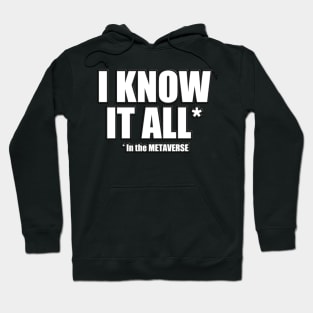 I know it all in the METAVERSE Hoodie